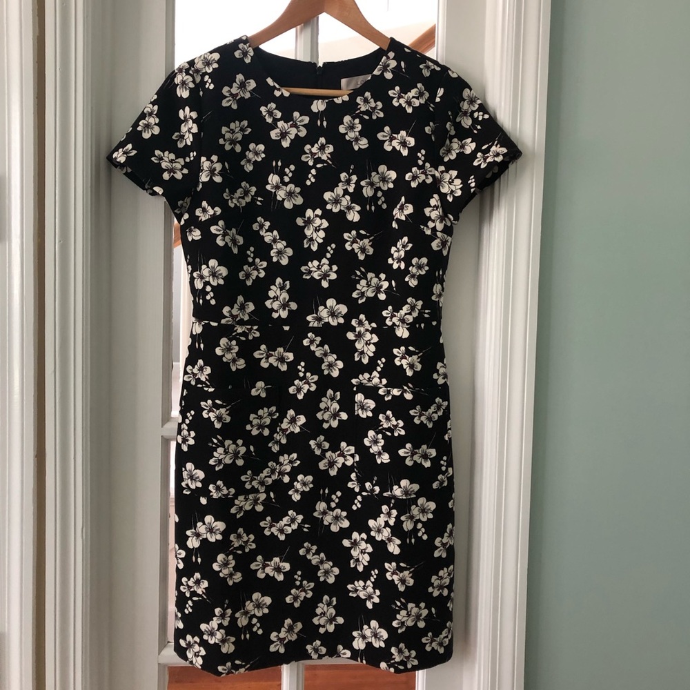 Loft career dress, size 4, NWT
